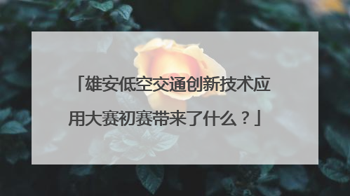 雄安低空交通创新技术应用大赛初赛带来了什么？