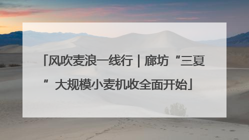风吹麦浪一线行｜廊坊“三夏”大规模小麦机收全面开始