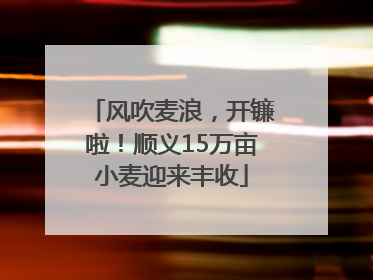 风吹麦浪，开镰啦！顺义15万亩小麦迎来丰收
