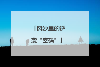 风沙里的逆袭“密码”