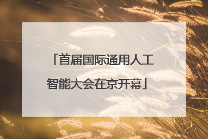 首届国际通用人工智能大会在京开幕