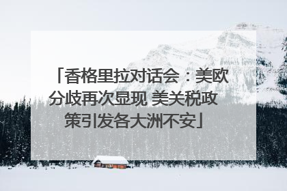 香格里拉对话会：美欧分歧再次显现 美关税政策引发各大洲不安