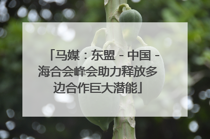 马媒：东盟－中国－海合会峰会助力释放多边合作巨大潜能