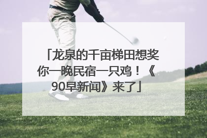 龙泉的千亩梯田想奖你一晚民宿一只鸡！《90早新闻》来了