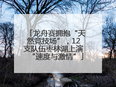 龙舟赛拥抱“天然竞技场”，12支队伍枣林湖上演“速度与激情”