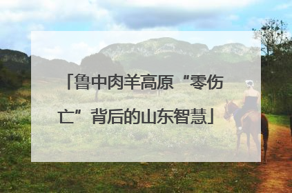 鲁中肉羊高原“零伤亡”背后的山东智慧