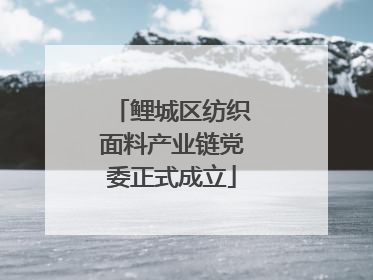 鲤城区纺织面料产业链党委正式成立