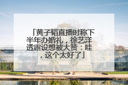 黄子韬直播时称下半年办婚礼，徐艺洋透露设想被大赞：哇，这个太好了