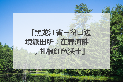 黑龙江省三岔口边境派出所：在界河畔，扎根红色沃土