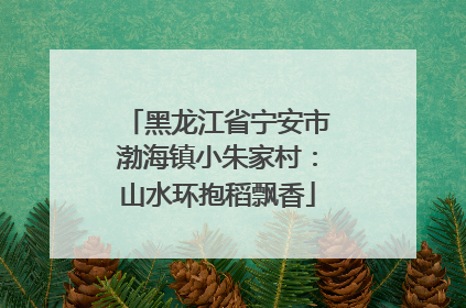 黑龙江省宁安市渤海镇小朱家村：山水环抱稻飘香