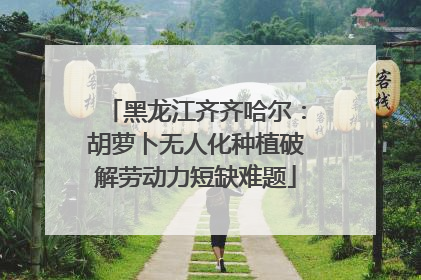 黑龙江齐齐哈尔：胡萝卜无人化种植破解劳动力短缺难题