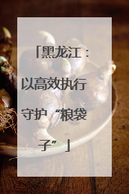 黑龙江：以高效执行守护“粮袋子”