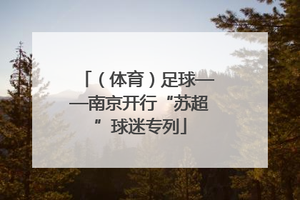 （体育）足球——南京开行“苏超”球迷专列