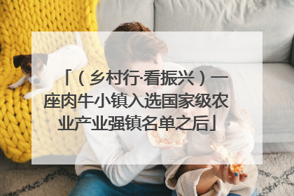 （乡村行·看振兴）一座肉牛小镇入选国家级农业产业强镇名单之后