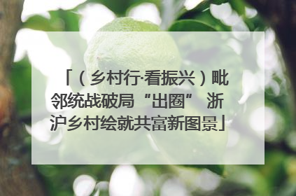 （乡村行·看振兴）毗邻统战破局“出圈” 浙沪乡村绘就共富新图景