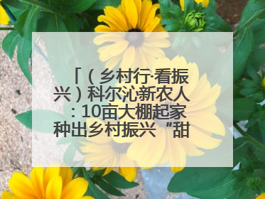 （乡村行·看振兴）科尔沁新农人：10亩大棚起家种出乡村振兴“甜蜜果”