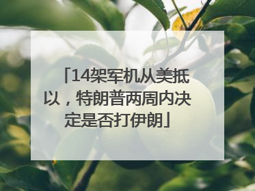 14架军机从美抵以，特朗普两周内决定是否打伊朗