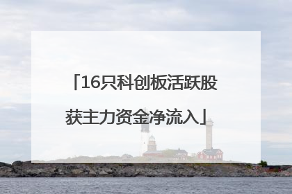 16只科创板活跃股获主力资金净流入