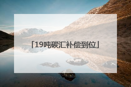 19吨碳汇补偿到位