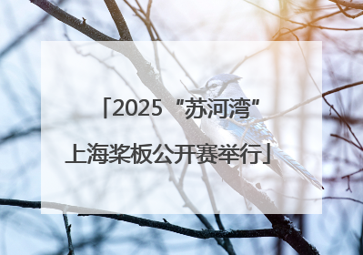 2025“苏河湾”上海桨板公开赛举行