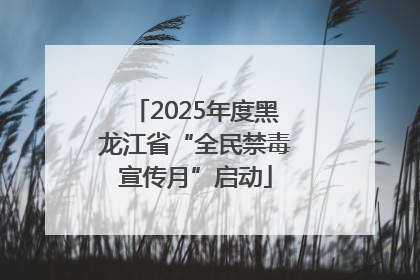 2025年度黑龙江省“全民禁毒宣传月”启动
