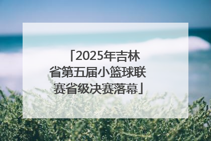 2025年吉林省第五届小篮球联赛省级决赛落幕