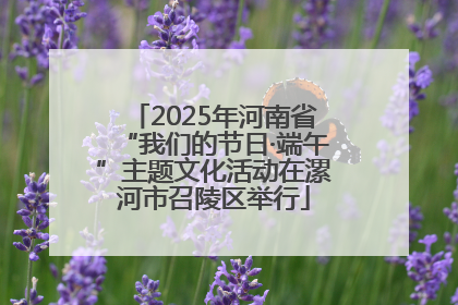 2025年河南省“我们的节日·端午”主题文化活动在漯河市召陵区举行