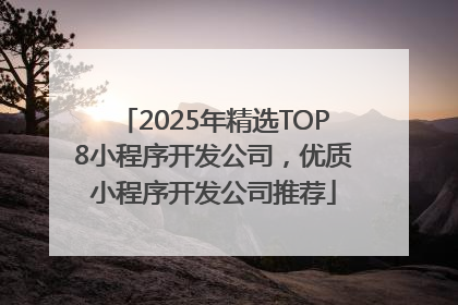 2025年精选TOP8小程序开发公司，优质小程序开发公司推荐