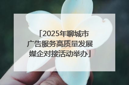2025年聊城市广告服务高质量发展媒企对接活动举办