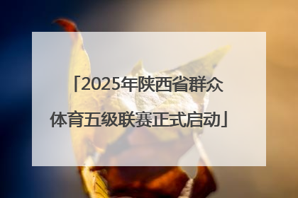 2025年陕西省群众体育五级联赛正式启动