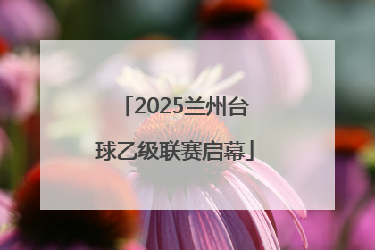2025兰州台球乙级联赛启幕