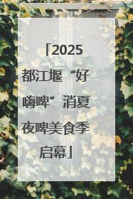 2025都江堰“好嗨啤”消夏夜啤美食季启幕