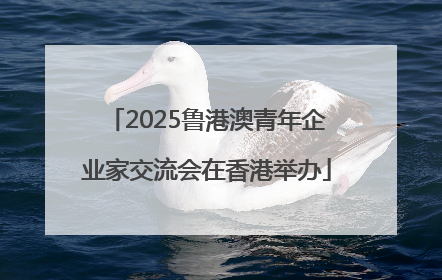 2025鲁港澳青年企业家交流会在香港举办