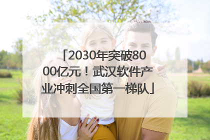 2030年突破8000亿元！武汉软件产业冲刺全国第一梯队