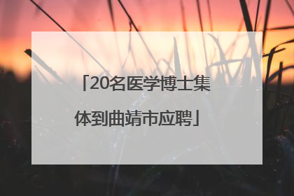 20名医学博士集体到曲靖市应聘