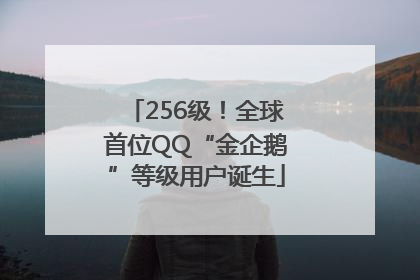 256级！全球首位QQ“金企鹅”等级用户诞生