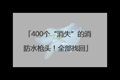 400个“消失”的消防水枪头！全部找回