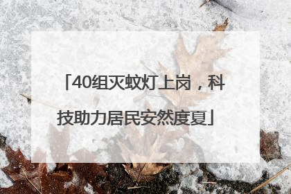 40组灭蚊灯上岗，科技助力居民安然度夏