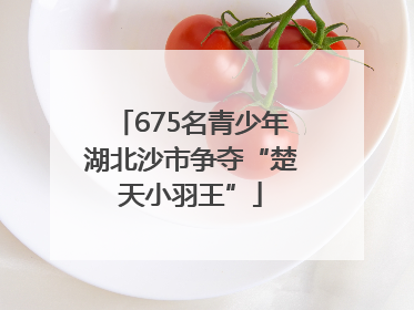 675名青少年湖北沙市争夺“楚天小羽王”