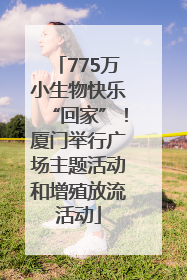 775万小生物快乐“回家”！厦门举行广场主题活动和增殖放流活动
