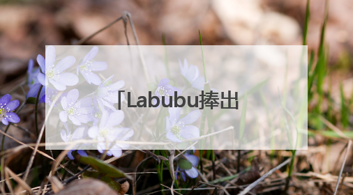 Labubu捧出河南新首富背后，中国已成全球第四大IP零售市场